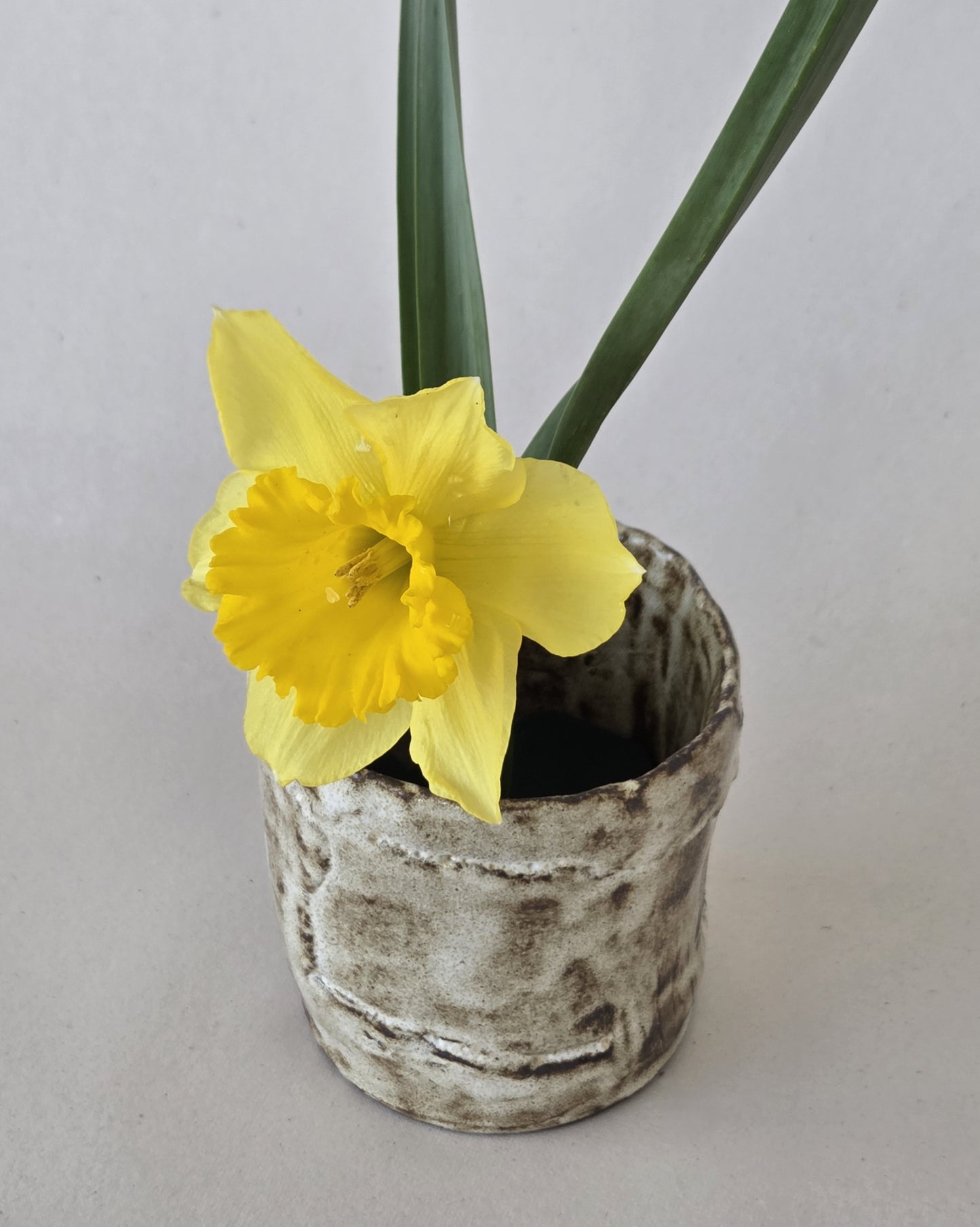 Montanha Flower Cup