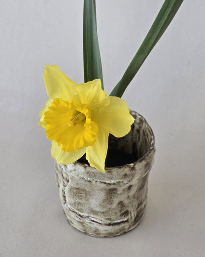 Montanha Flower Cup