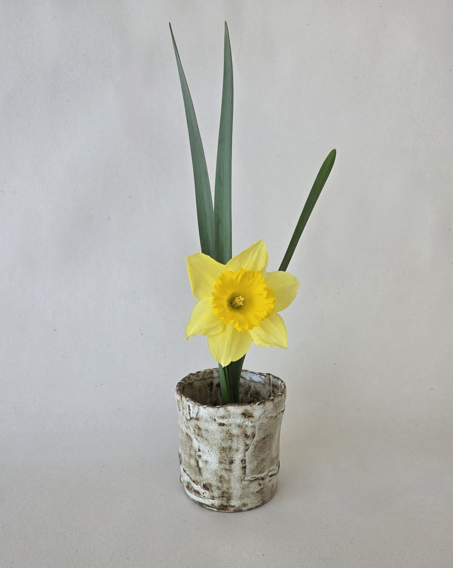 Montanha Flower Cup