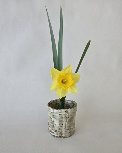 Montanha Flower Cup